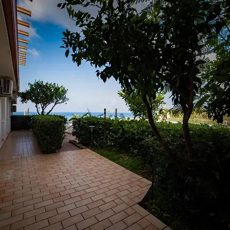 New Paradise 4* Тропея