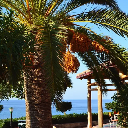 Apart-hotel New Paradise 4*