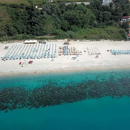 New Paradise Тропея